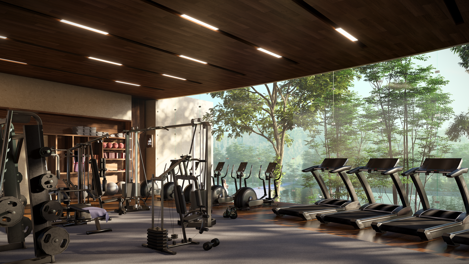 Gimnasio Costa Norte