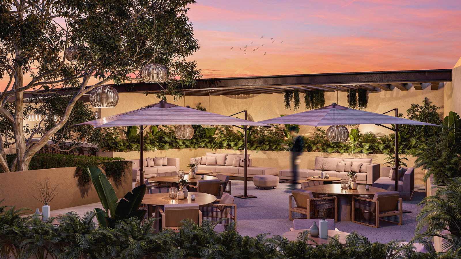 Rooftop Bar Costa Norte